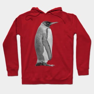 King Penguin in B&W Hoodie